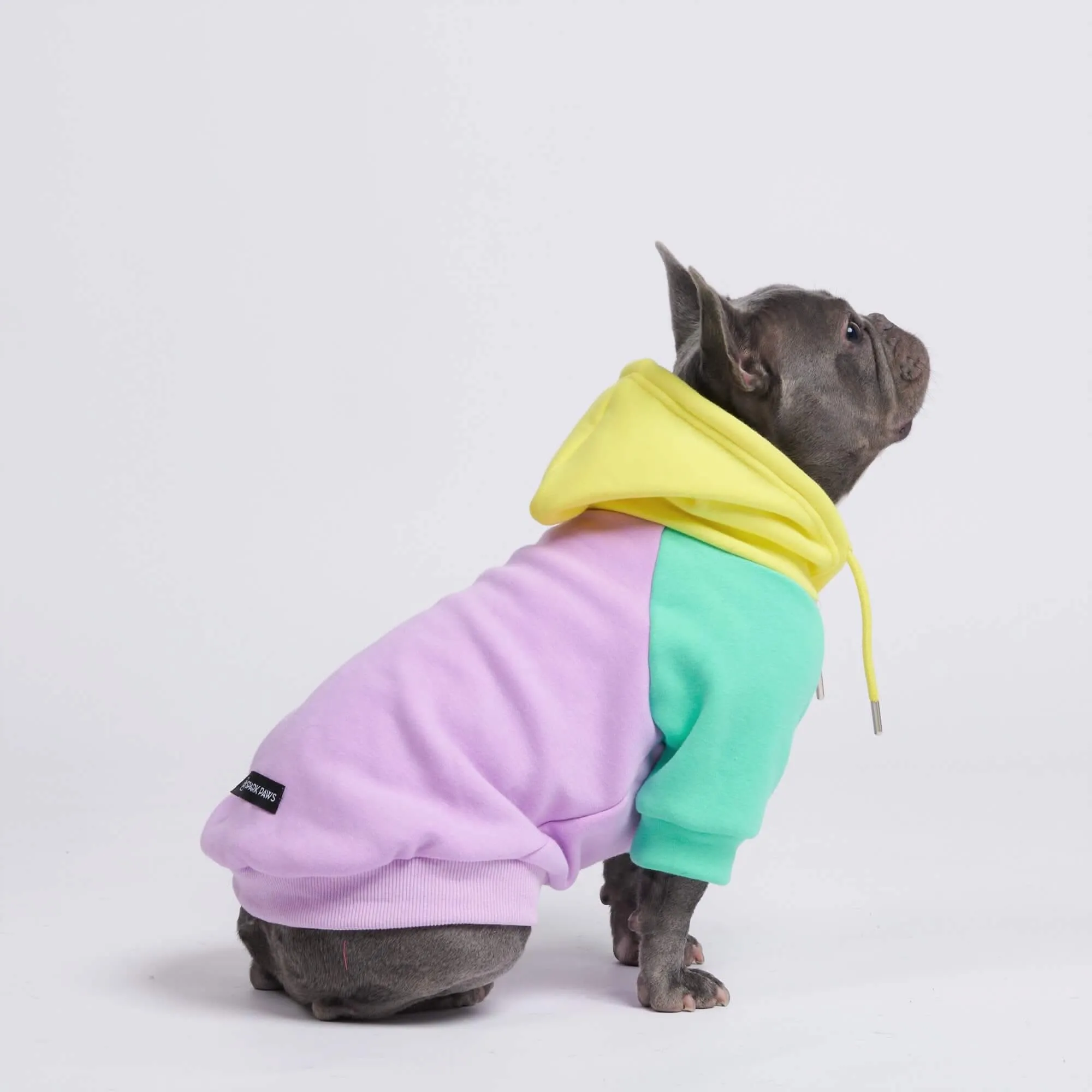 Purple Turquoise Yellow Dog Hoodie