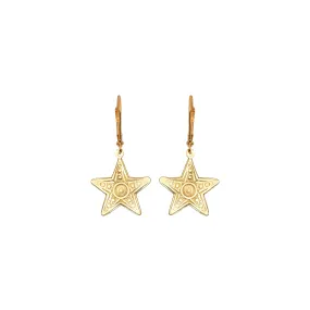 Small Star Earrings